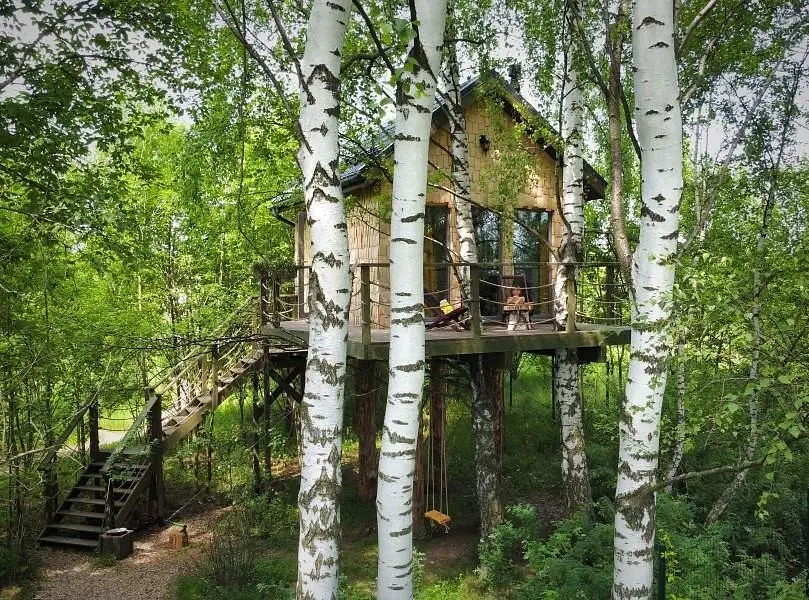 Лапочкино гнездо, Тульская область: фото 3
