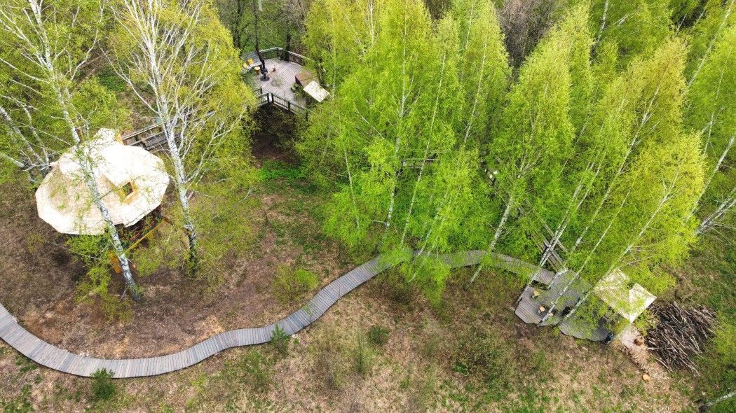 Лапочкино гнездо, Тульская область: фото 5