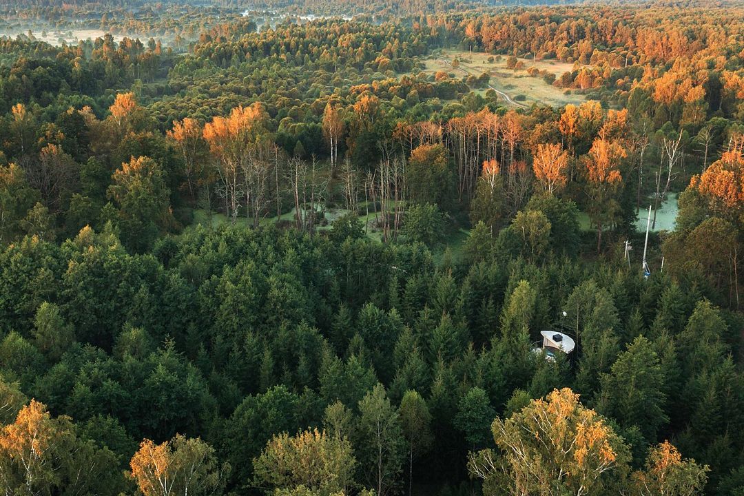 Лапочкино гнездо, Тульская область: фото 3