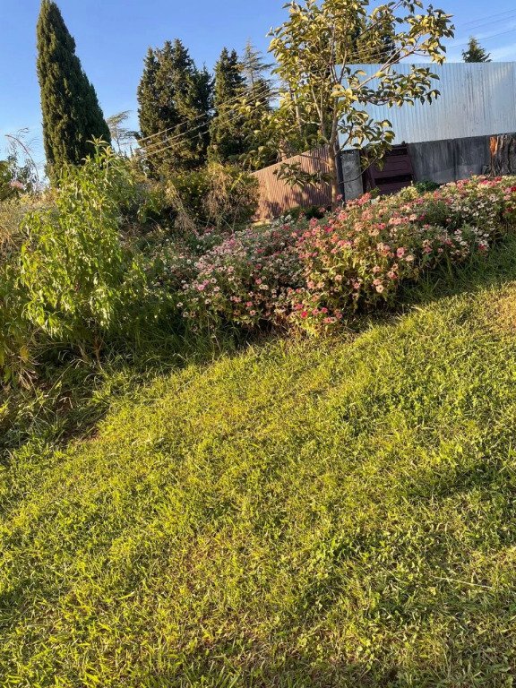 Гостевой дом Абхазская сказка, Сухумский район, Сухум , Абхазия