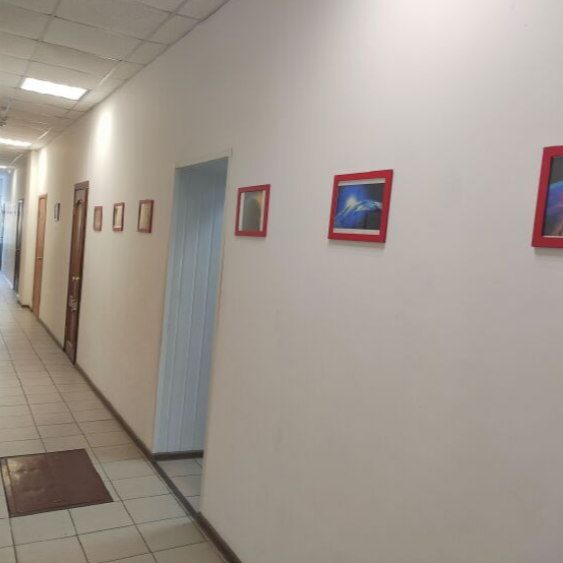 Глобус, Алтайский край: фото 4