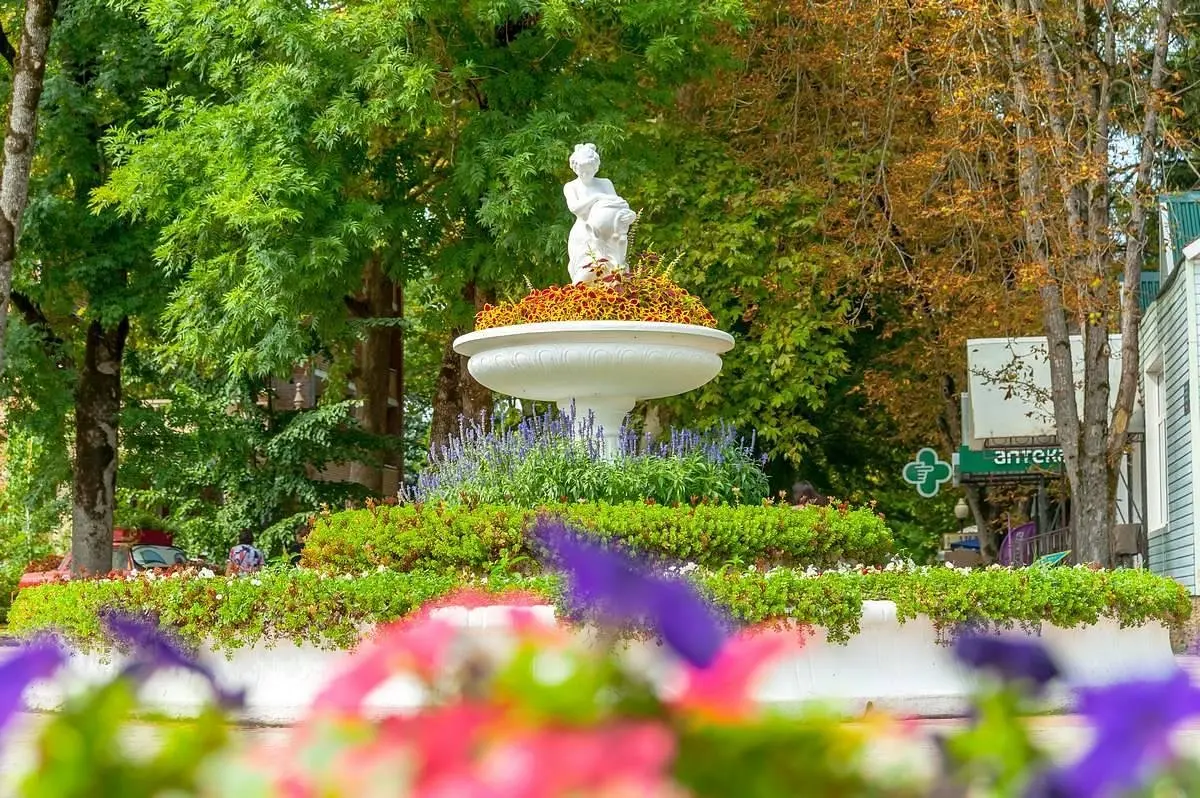 Предгорье Кавказа, Краснодарский край: фото 4