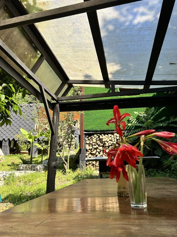 Отель Лоджи Коркмаз, Сухумский район: фото 5