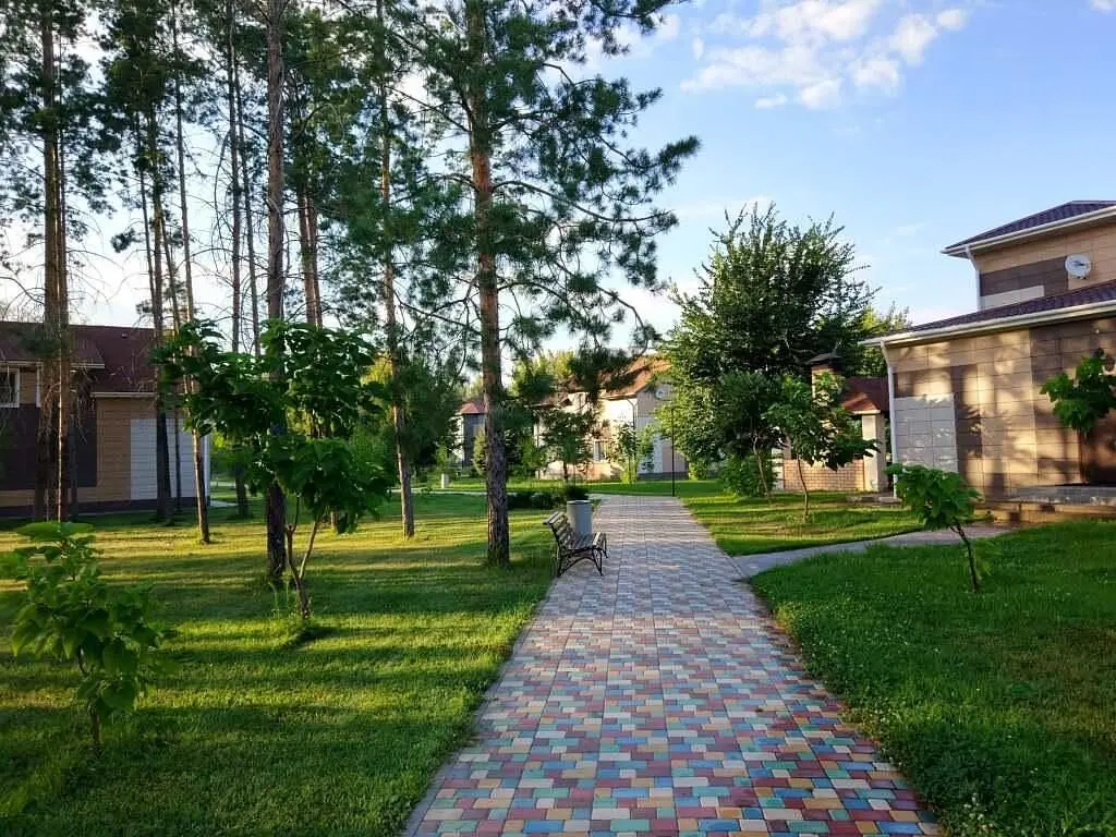 База отдыха Афина, Волгоградская область: фото 3