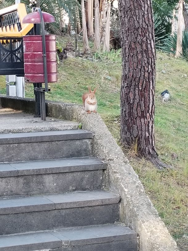 Фото 3 из отзыва о пансионате Орбита-1