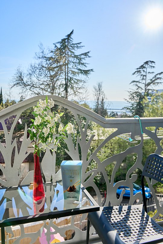 Комфорт Панорамный 2-местный