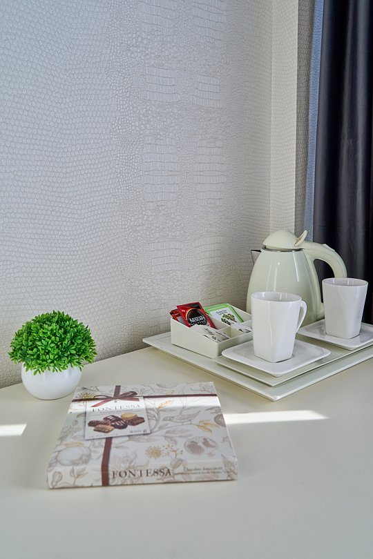 Студио Панорама 2-местный