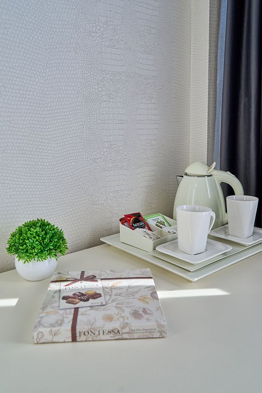 Студио Панорама 2-местный