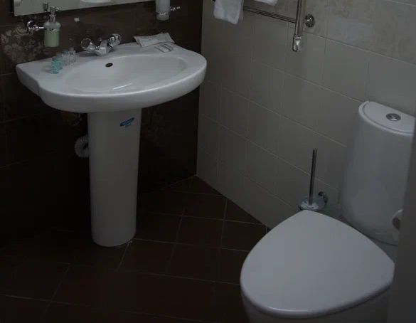 Мансарданый 2-местный 1-комнатный (№11)