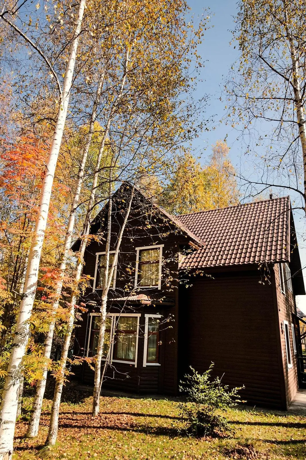 Парк-отель Белый Соболь, Иркутская область: фото 3