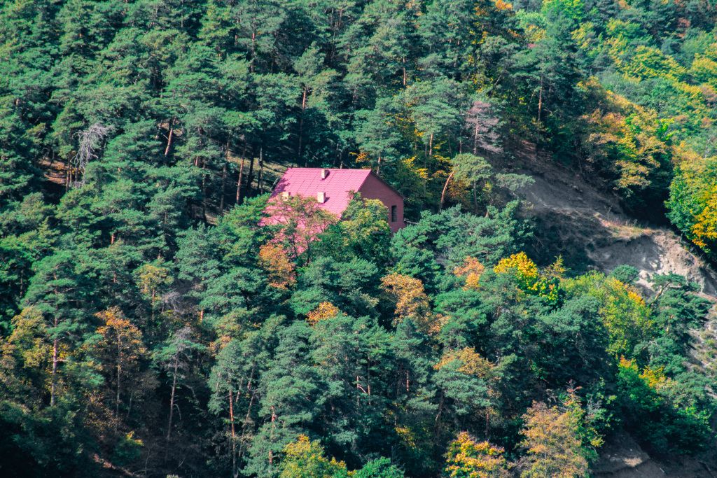 Апартаменты Берд, Республика Ингушетия: фото 2