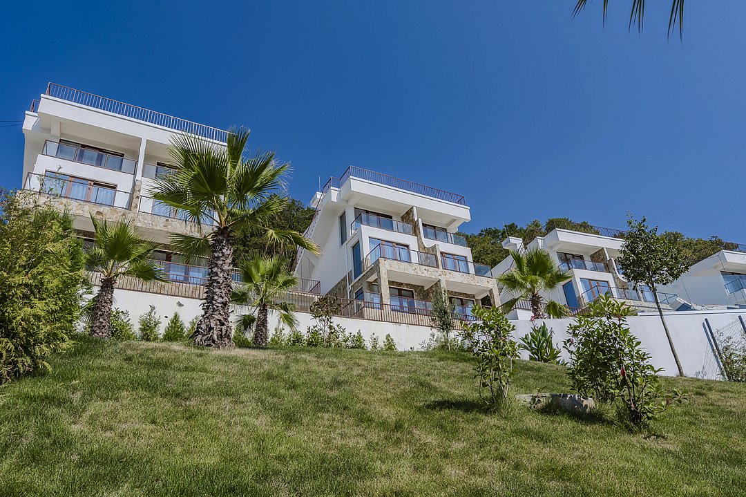 Внешний вид | Астра Джиардини Релакс, Краснодарский край