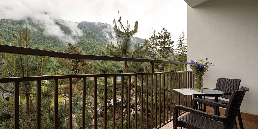 Апартаменты Делюкс 2-местный