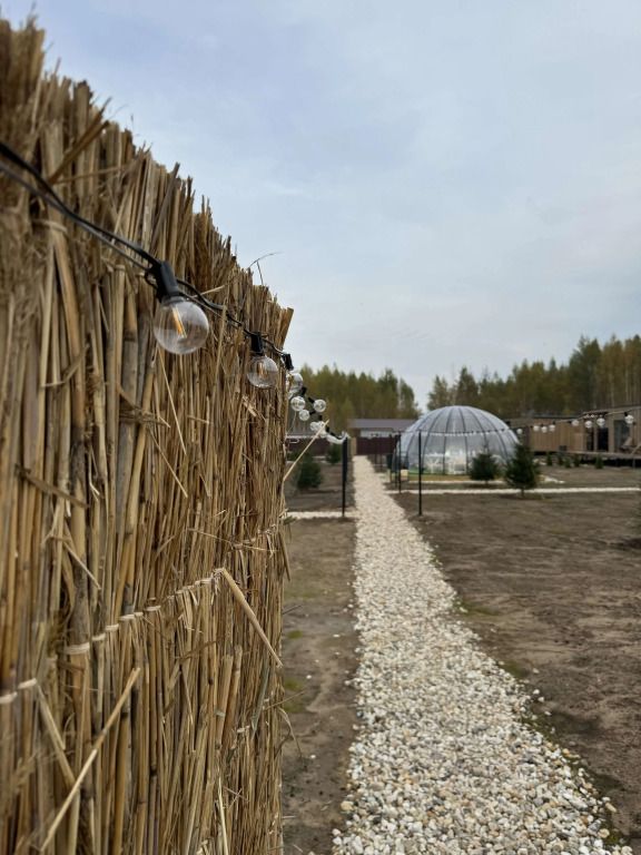СМАРТ ДАЧА ЗАВИДОВО, Тверская область: фото 3