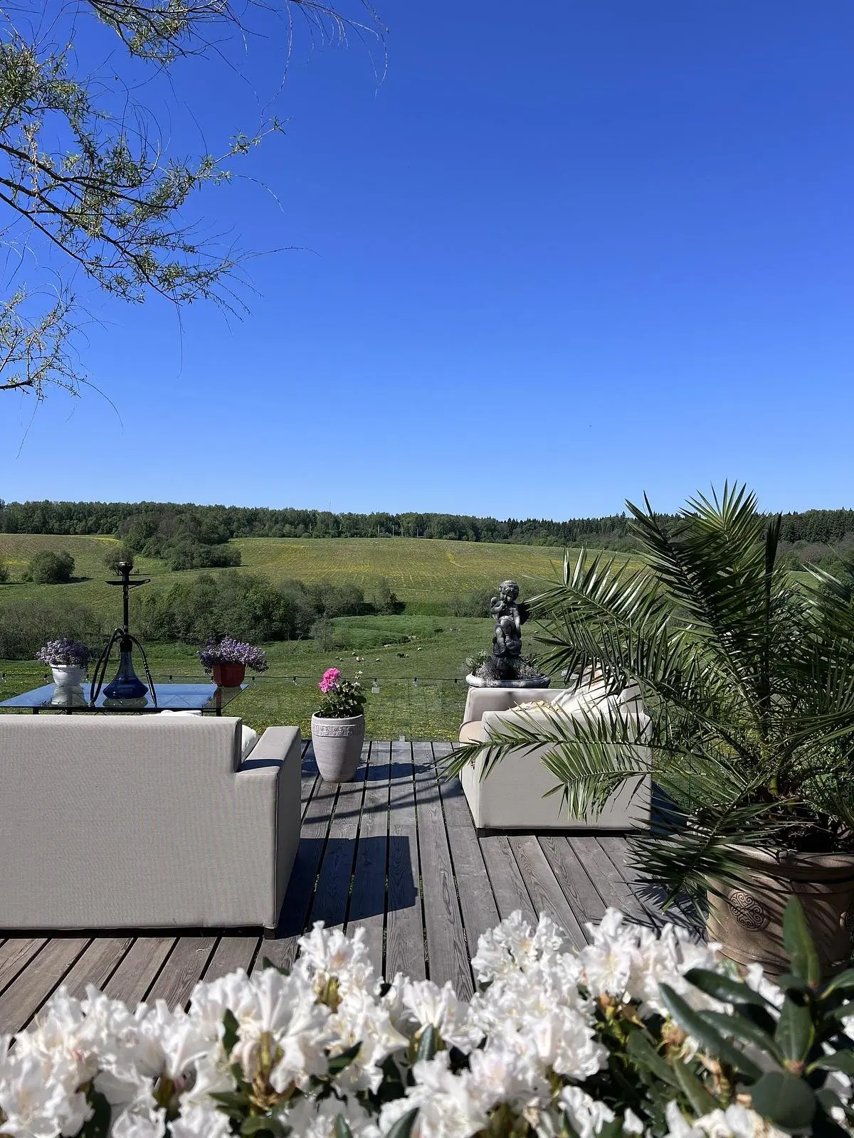 La Collina, Московская область: фото 2