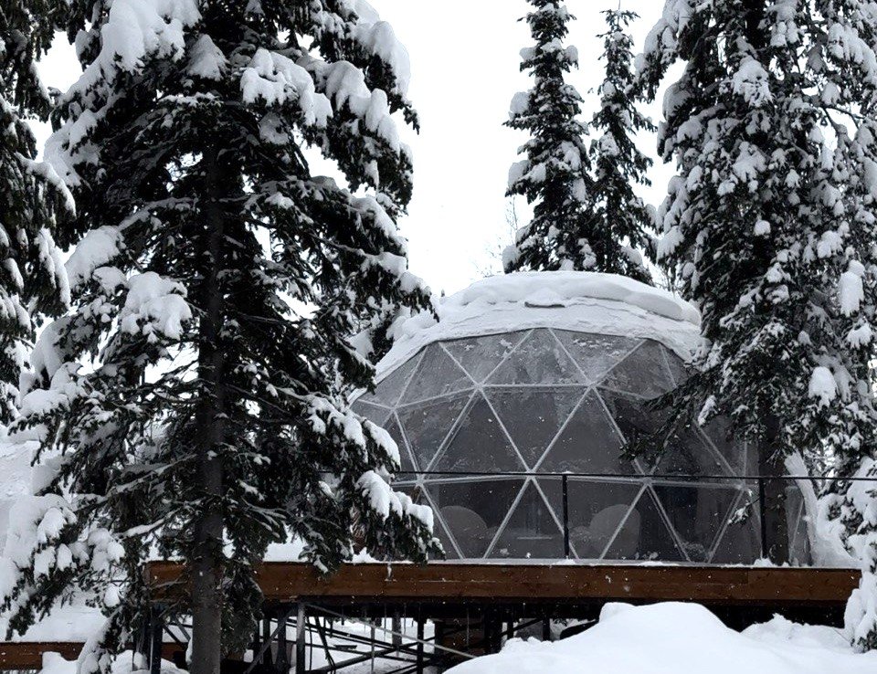 Купольный дом Gold