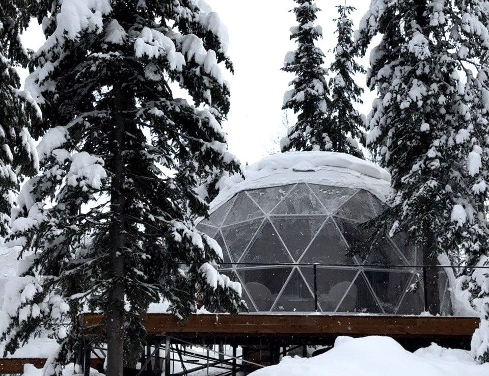 Купольный дом Gold