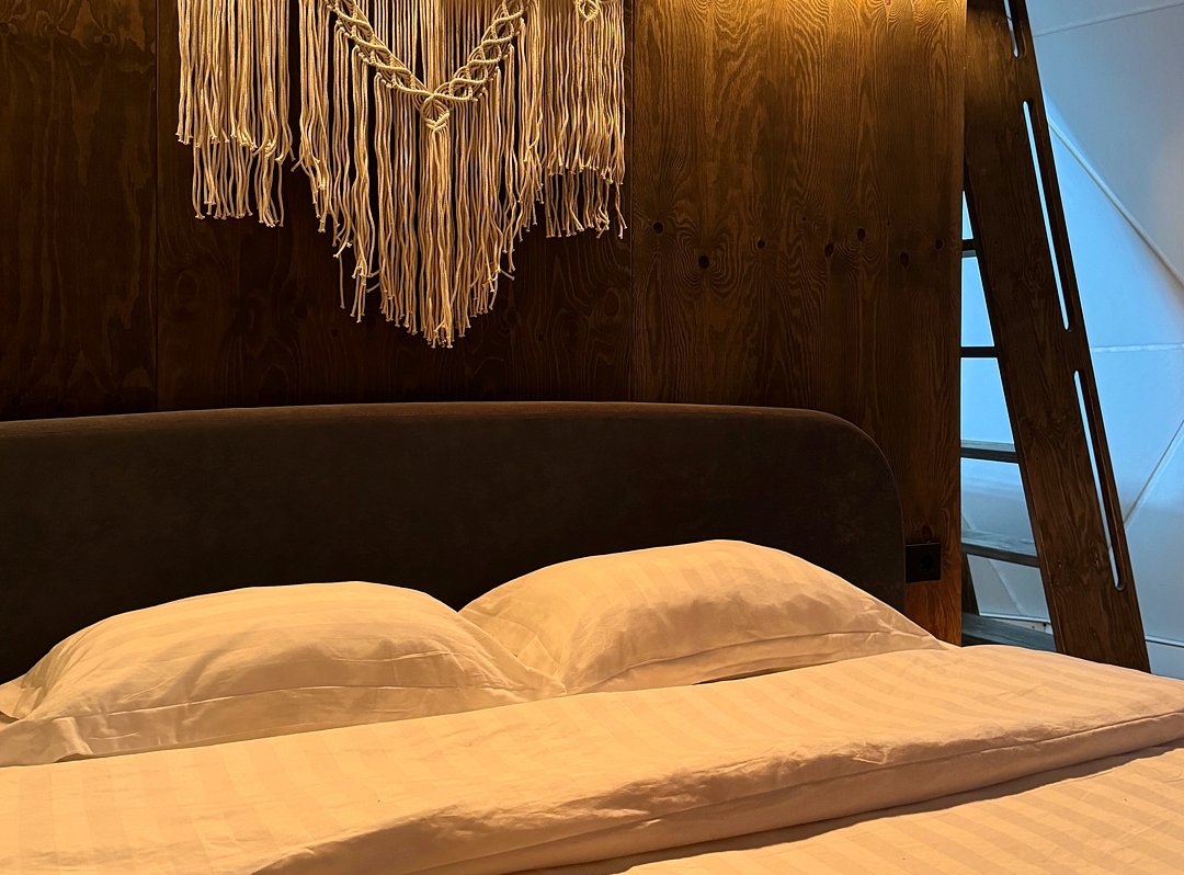 Купольный дом Wood