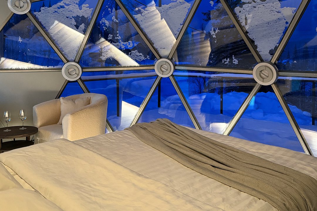 Купольный дом Wood