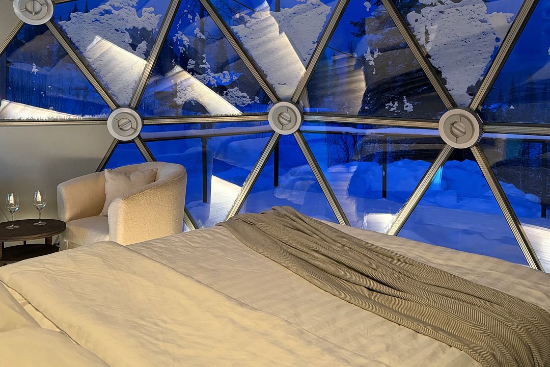 Купольный дом Wood