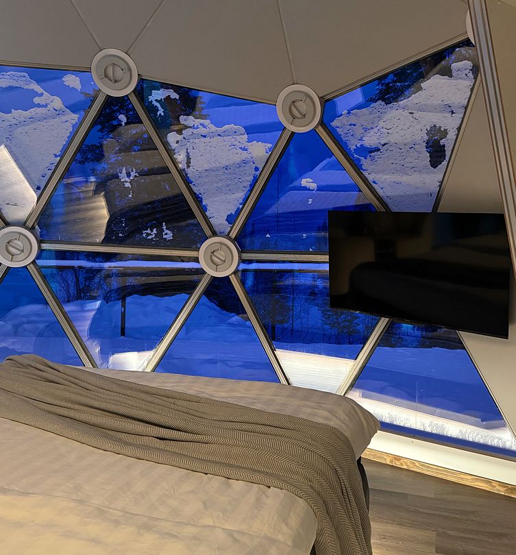 Купольный дом Wood