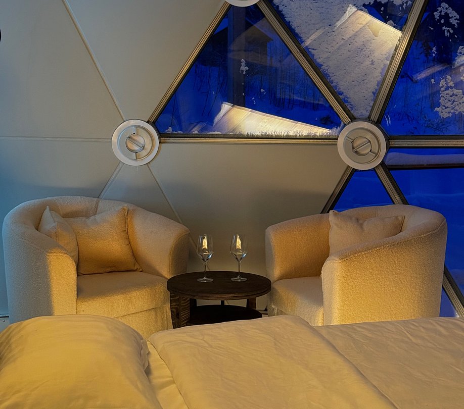 Купольный дом Wood