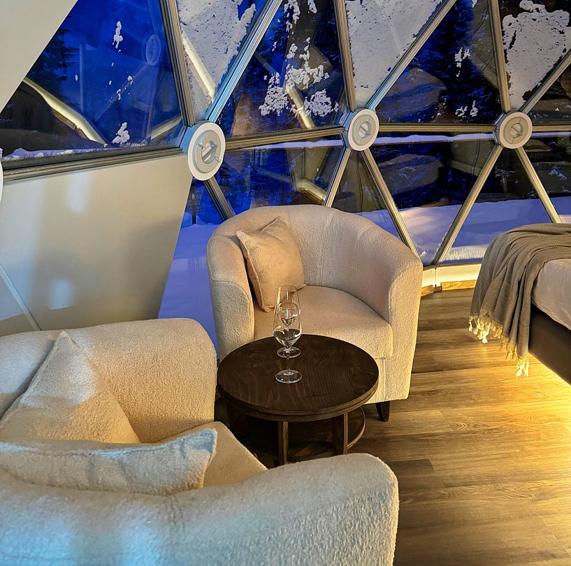 Купольный дом Wood