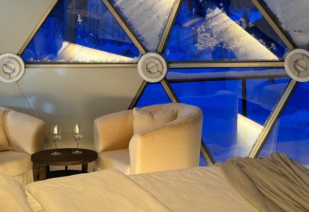 Купольный дом Wood