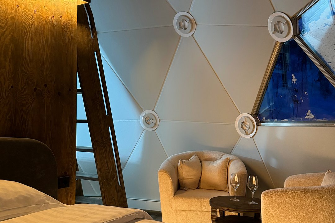 Купольный дом Wood