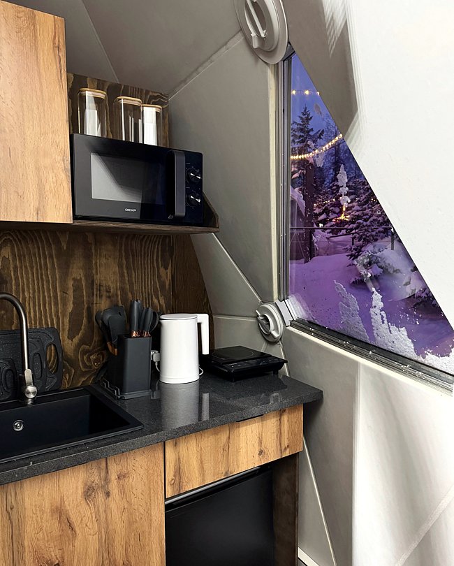 Купольный дом Wood