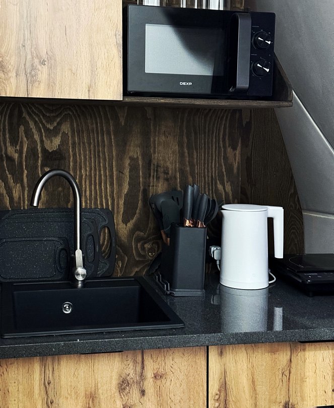 Купольный дом Wood