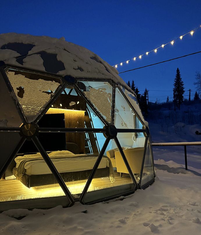 Купольный дом Wood