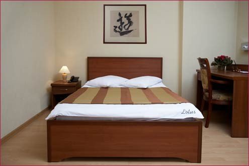 Стандартный 1-местный (24 кв. м)