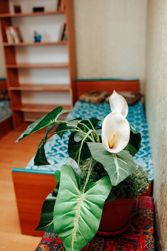 Эконом 1-местный (блочный)