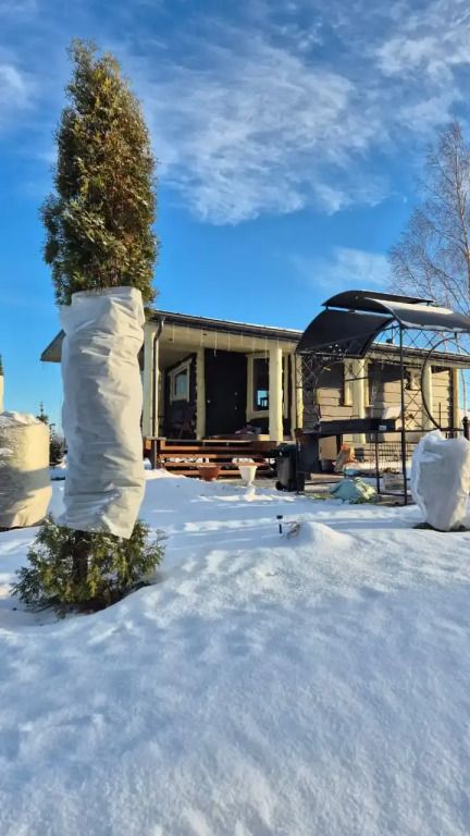 Бунгало Гнездо Пеликана, Тверская область: фото 2