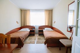 Двухместный номер Бюджетный с видом на город 2 отдельные кровати, Гостиница Мартон (Вологда), Вологда