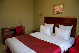 Двухместный номер Стандарт с видом на город двуспальная кровать, Отель Премьер, Ижевск