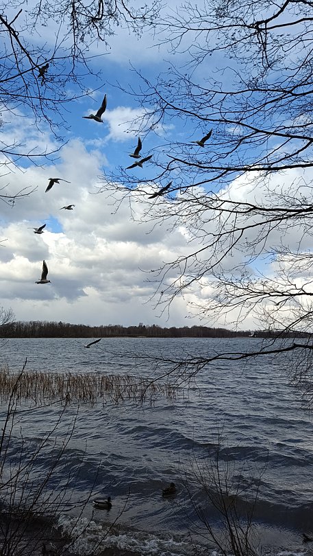 Фото 13 из отзыва о санатории Голубые озера