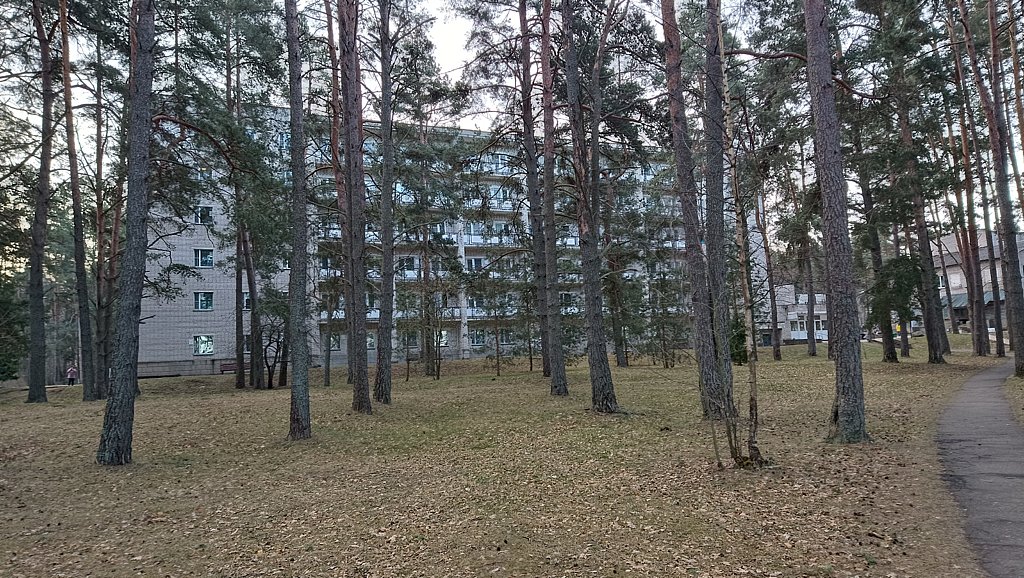 Фото из отзыва от 05.04.2025