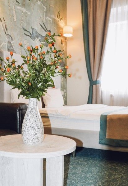 Делюкс 2-местный (DBL)