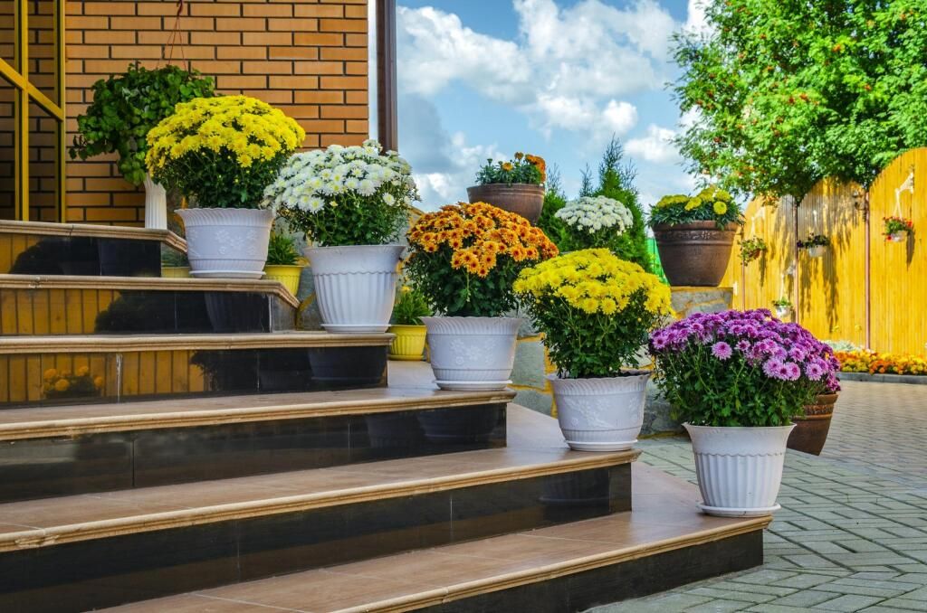 Линь, Вологодская область: фото 4