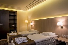 Двухместный номер Standard 2 отдельные кровати, Отель AZIMUT Саранск, Саранск