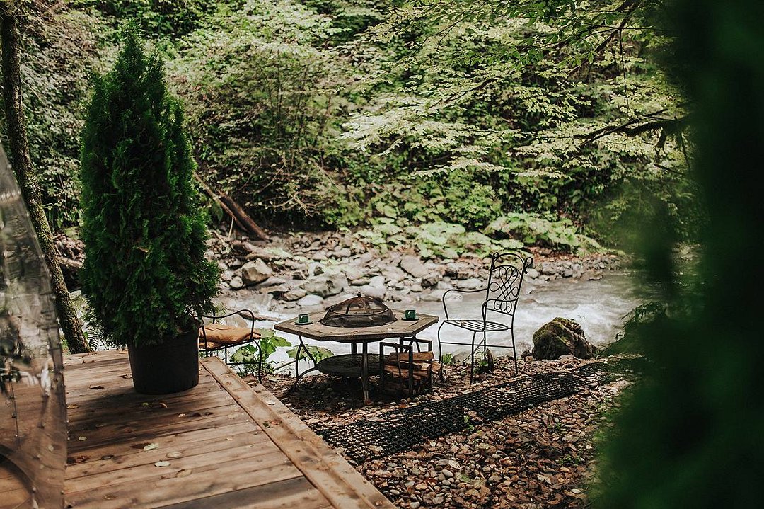 и СПА Лес, Краснодарский край: фото 5