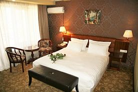 Standard 2-местный Upgrated, СПА-отель Borjomi Palace, Боржоми