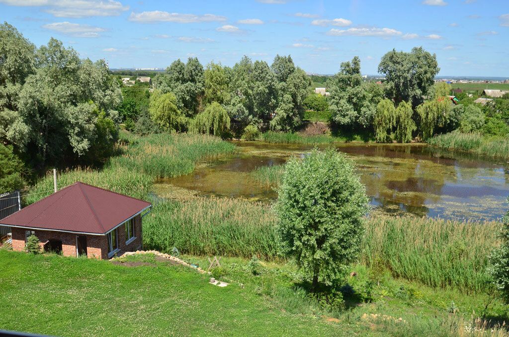 Олимпия, Курская область: фото 5