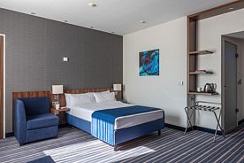 Двухместный номер для людей с ограниченными возможностями двуспальная кровать, Отель Космос Смарт Воронеж, Воронеж