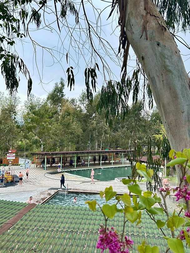 Alra Eco Village, Очамчырский район: фото 5