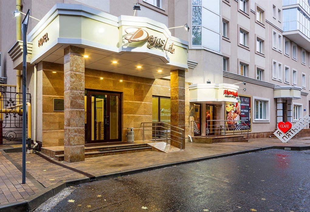 Дегас Лайт, Воронежская область: фото 2