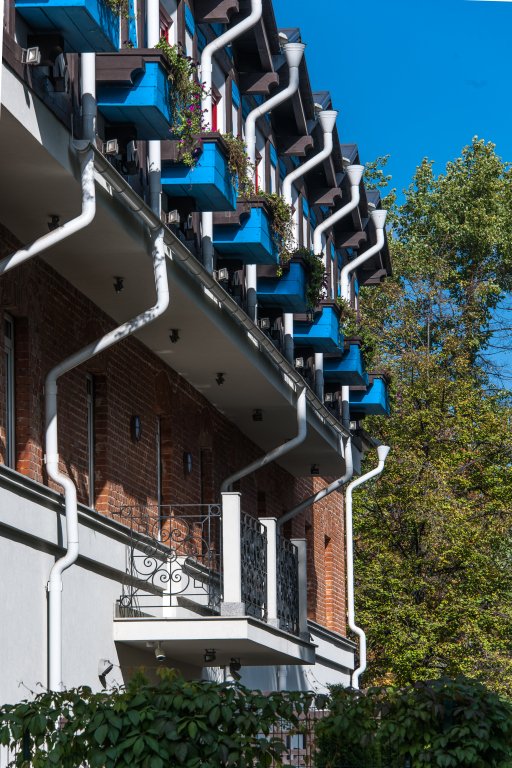 Бронзовый Кабан, Воронежская область: фото 2