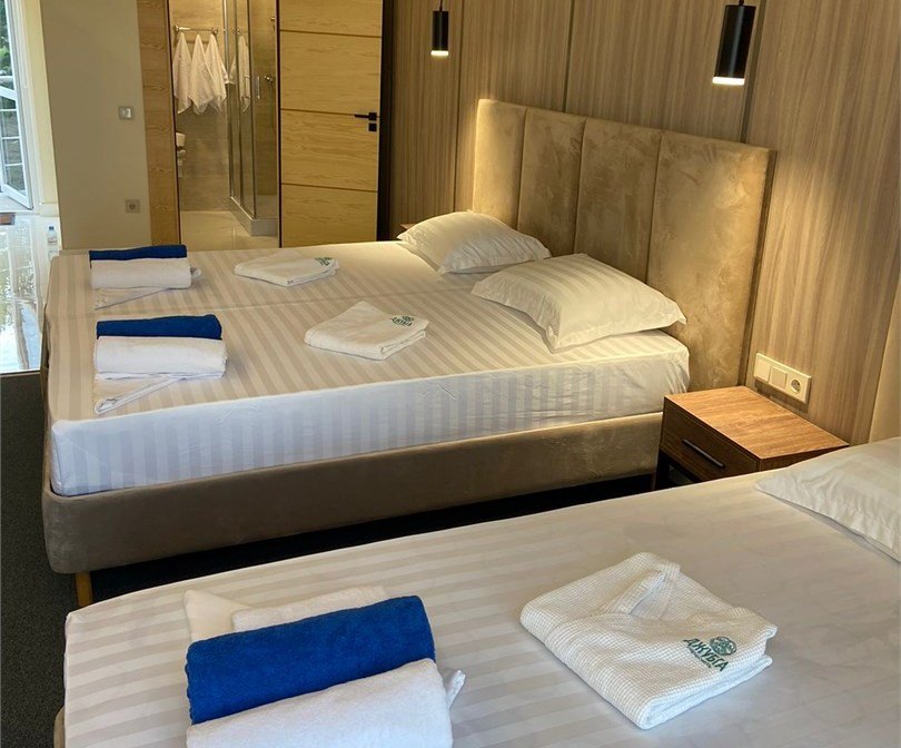 Супериор Видовой 3-местный